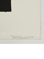 James Rosenquist, "Tumbleweed" (1970)